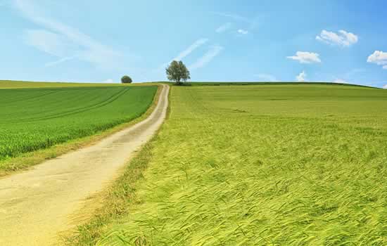 Spurgo fonature e pulizia fosse settiche