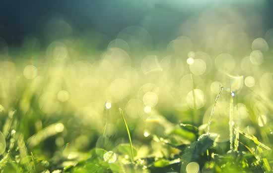 Trasporto e smaltimento rifiuti speciali non pericolosi